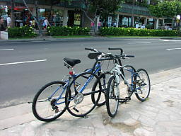 Bicycle Stand Busy