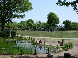 とんぼ池公園