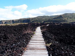 火山体験遊歩道